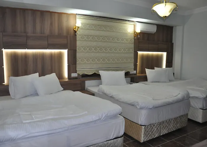 Mevlana Palace 3* Konya